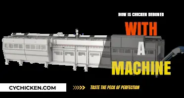 Automated Chicken Deboning: How Machines Revolutionize Poultry Processing