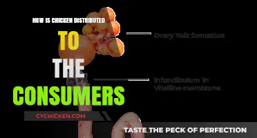 From Farm to Table: The Journey of Chicken Distribution Explained