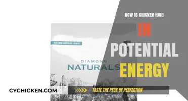 Unlocking Chicken's Hidden Power: Understanding Its High Potential Energy