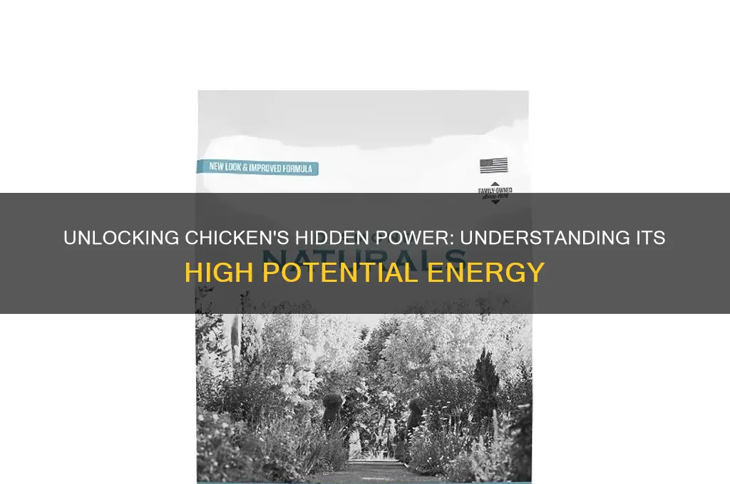 how is chicken high in potential energy