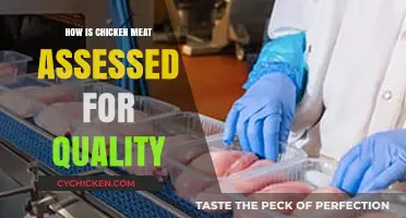 Assessing Chicken Meat Quality: Expert Methods for Freshness and Safety