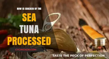 From Ocean to Can: The Processing Journey of Chicken of the Sea Tuna