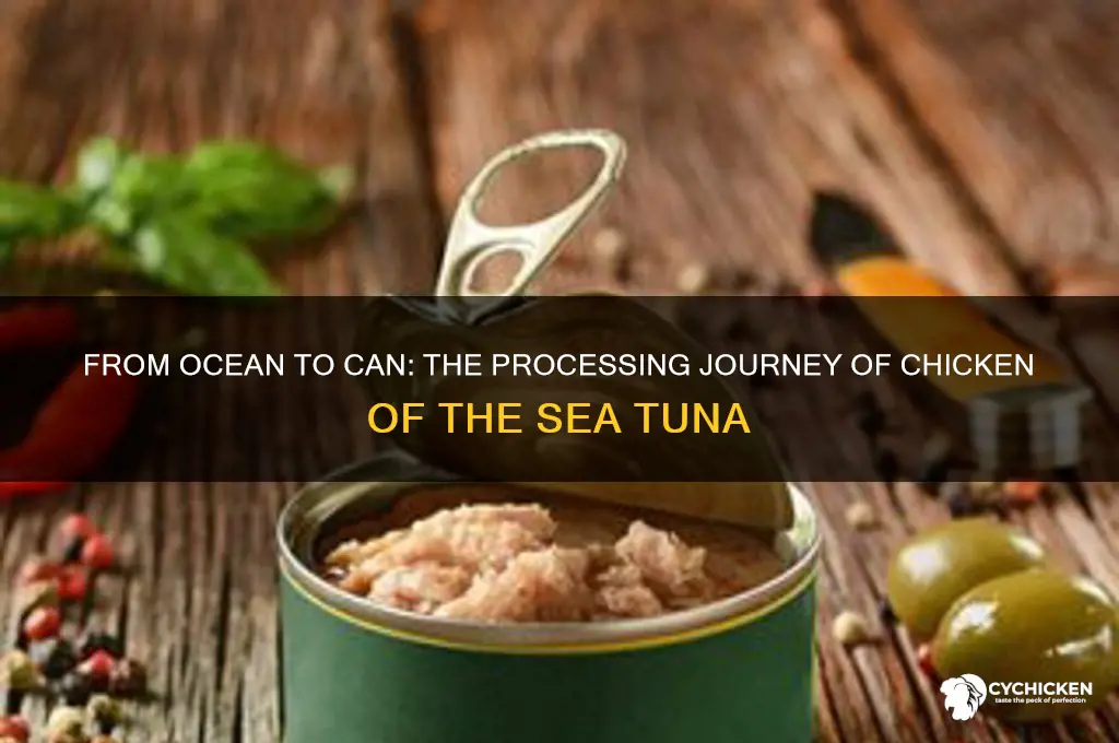 how is chicken of the sea tuna processed