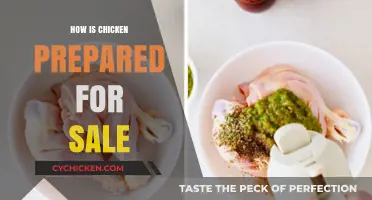 From Farm to Table: The Journey of Chicken Preparation for Sale