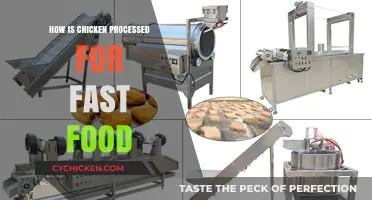 From Farm to Fryer: The Fast Food Chicken Processing Journey