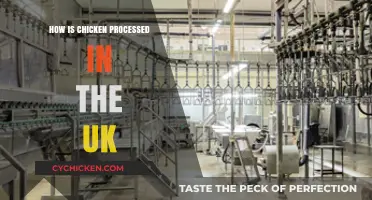 From Farm to Table: Understanding UK Chicken Processing Methods