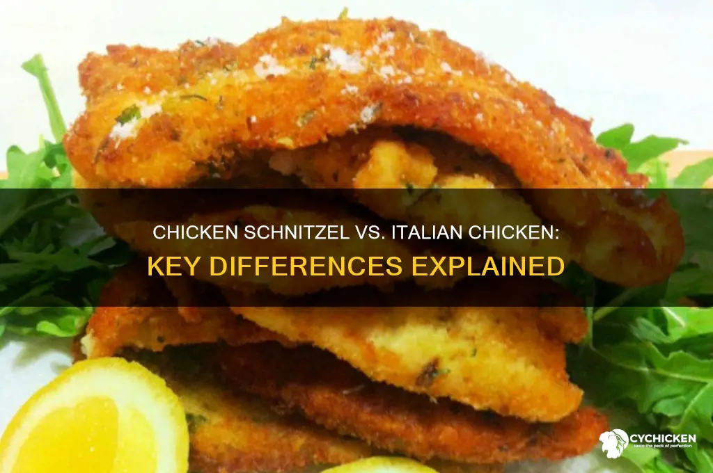 how is chicken schnitzel different from italian chicken