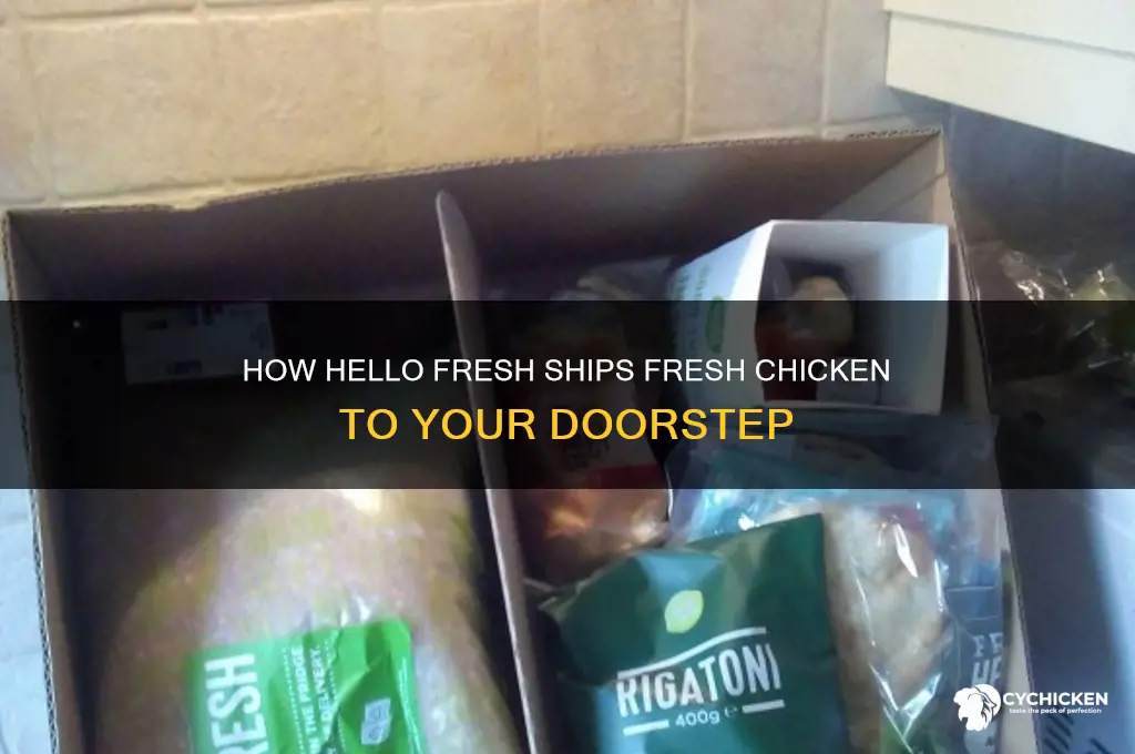 how is chicken shipped in hello fresh