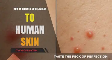 Chicken Skin vs. Human Skin: Surprising Similarities in Structure and Function