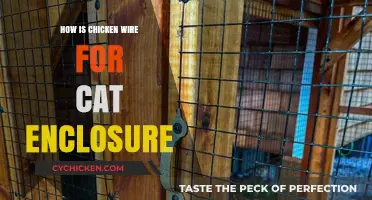 Chicken Wire for Cat Enclosures: Safety, Benefits, and Installation Tips