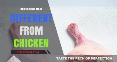 Duck vs. Chicken: Exploring Unique Flavor, Texture, and Culinary Differences