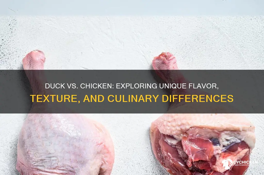 how is duck meat different from chicken
