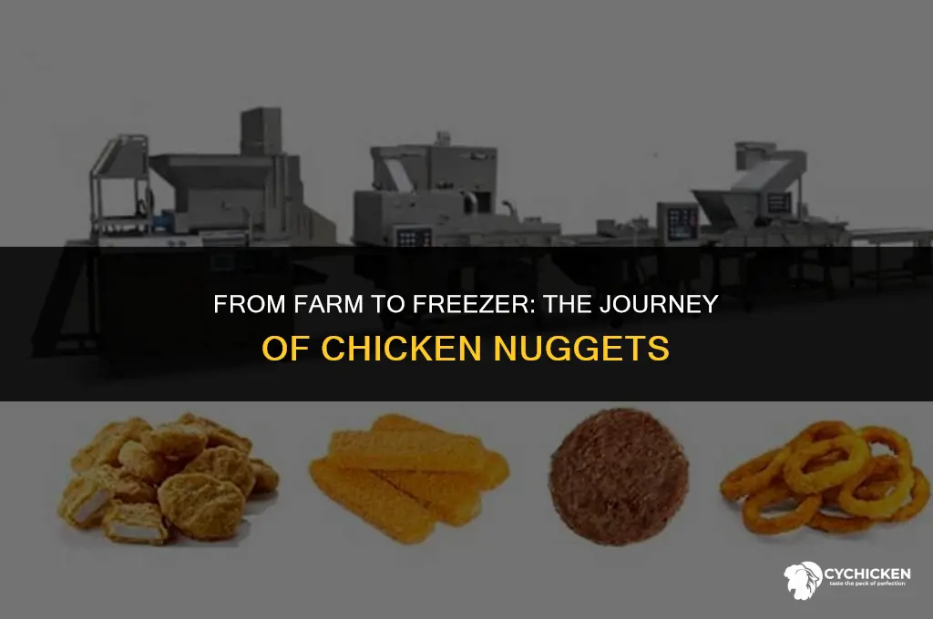 how is frozen chicken nuggets made
