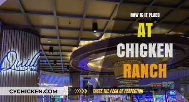 Exploring the Unique Gameplay Mechanics of Chicken Ranch