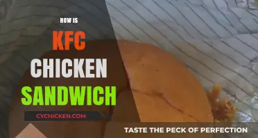 KFC Chicken Sandwich Review: Taste, Texture, and Value Breakdown
