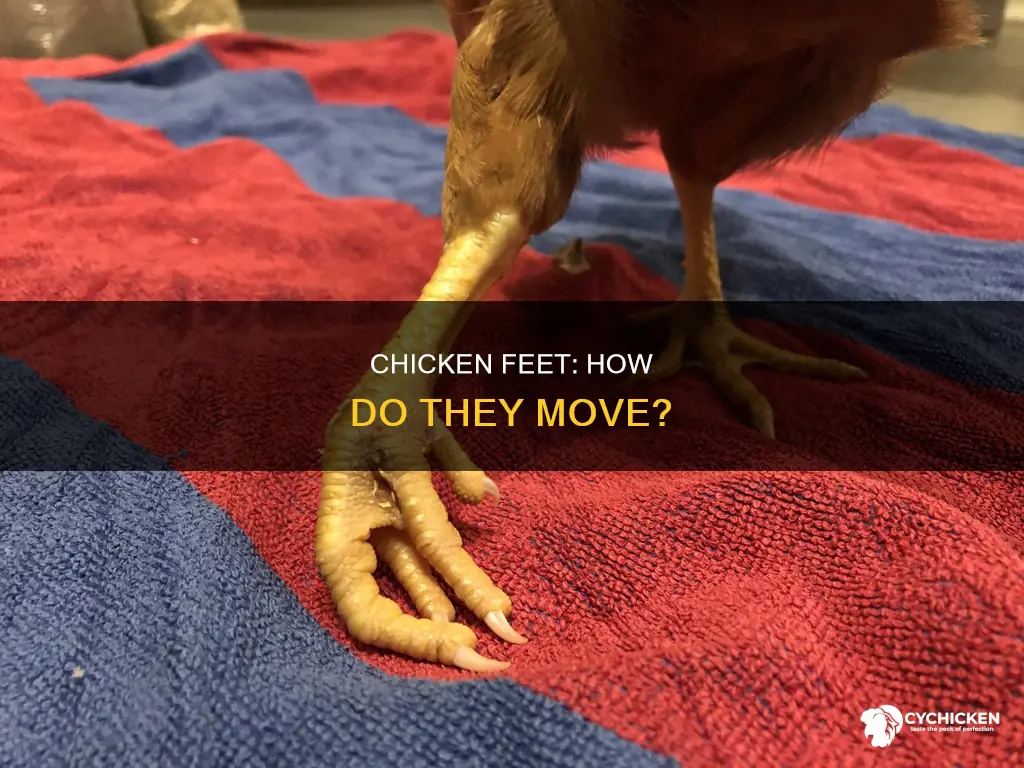 how is movement produced in a chicken