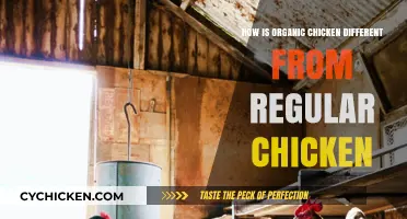 Organic vs. Regular Chicken: Key Differences in Nutrition and Farming