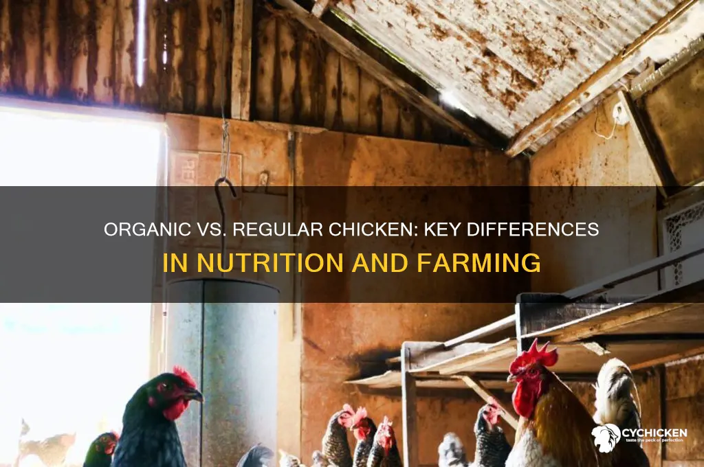 how is organic chicken different from regular chicken