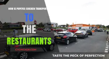 Popeyes Chicken Transportation: From Farm to Restaurant Explained