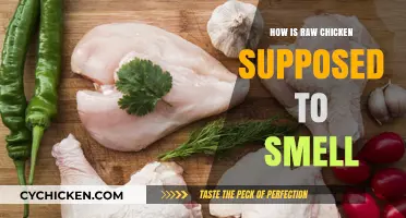 Understanding the Fresh Aroma: What Raw Chicken Should Smell Like