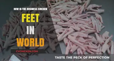 Global Chicken Feet Trade: A Surprising Business Phenomenon Explained