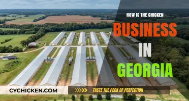 Georgia's Chicken Business: Trends, Challenges, and Opportunities for Growth