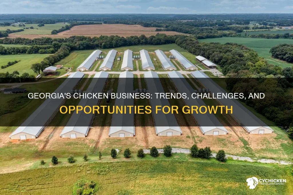 how is the chicken business in georgia