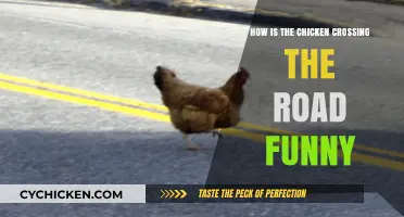 Why the Chicken's Road-Crossing Joke Still Cracks Us Up