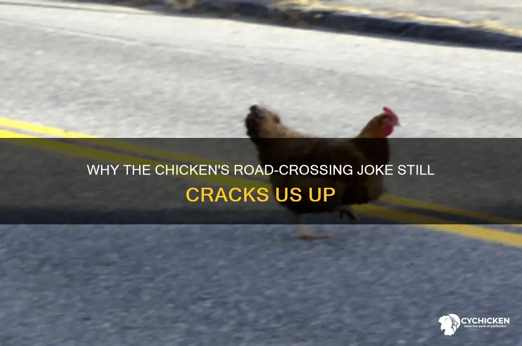 how is the chicken crossing the road funny