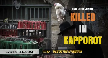 Understanding the Ritual: How Chickens Are Killed in Kapporot