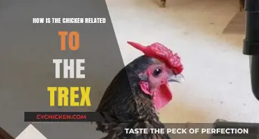 From T. rex to Chicken: Uncovering the Surprising Dinosaur Connection
