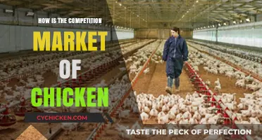 Clucking Competition: Analyzing the Fierce Chicken Market Landscape