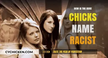 The Dixie Chicks' Controversial Name: Unpacking Its Racist Roots and Impact