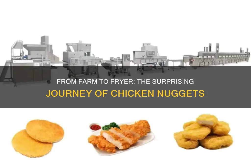 how is the humble chicken nugget made