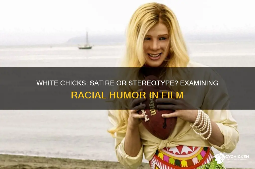 how is the movie white chicks not racist