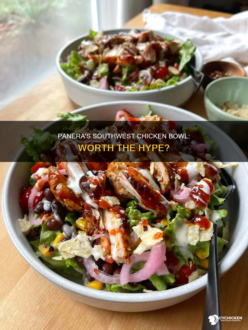 how is the southwest chicken tortilla bowl at panera