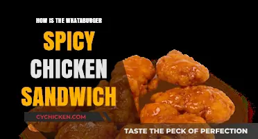 Whataburger Spicy Chicken Sandwich Review: Heat, Flavor, and Texture Explored