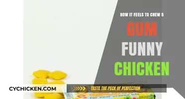 Chewing on Chicken Flavors: 5 Gum's Funny Adventure