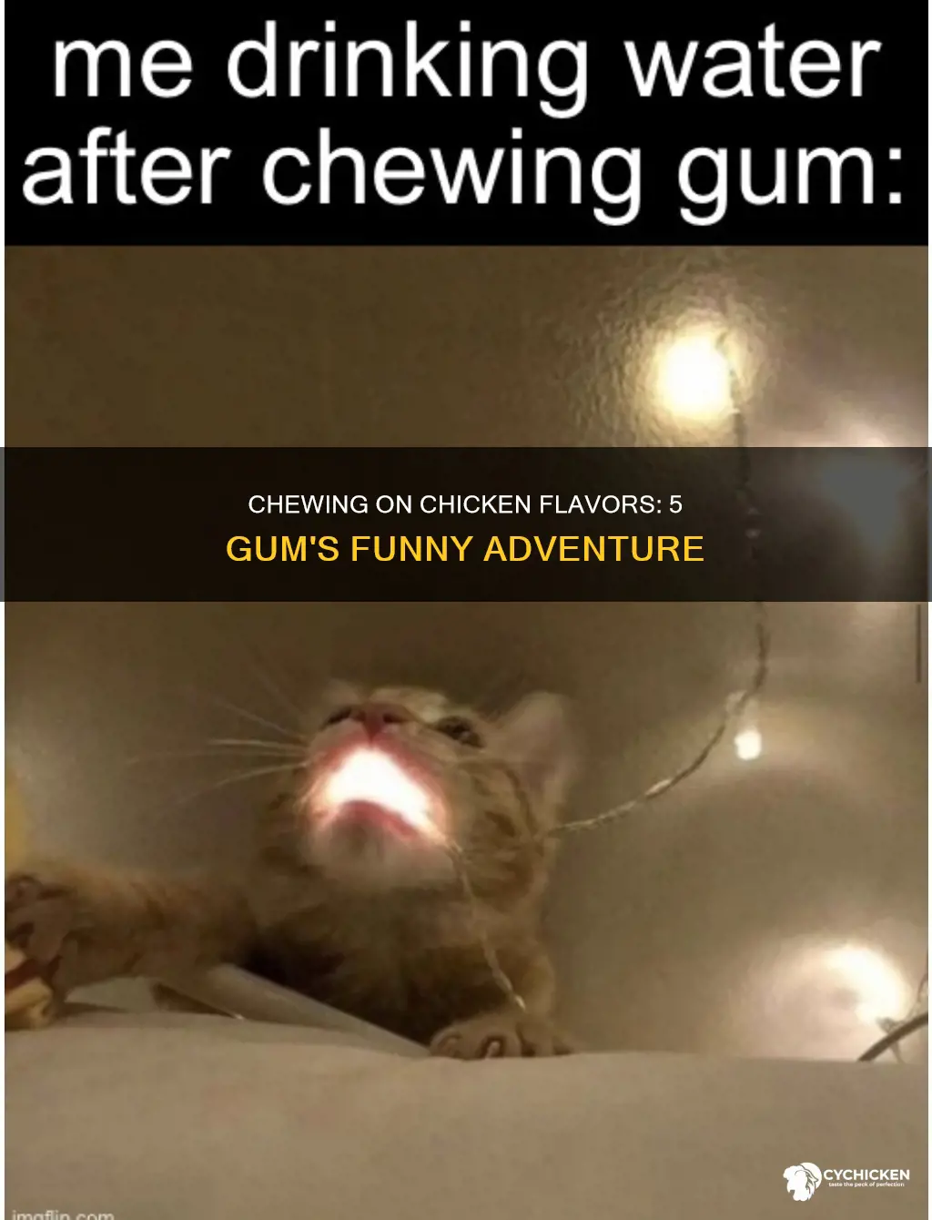 how it feels to chew 5 gum funny chicken
