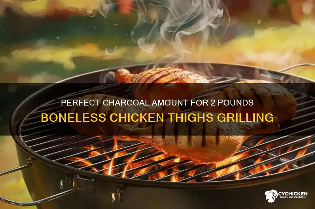 how kuch charcoalnis needed 2 pounds boneless chicken thighs