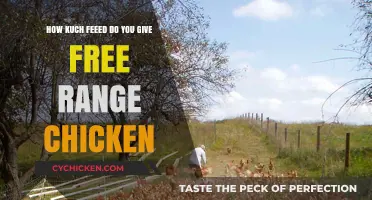 Free-Range Chickens: How Much Feed for Optimum Health?
