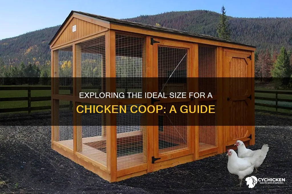 how large are a chicken