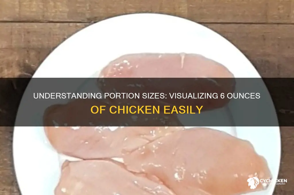 how large is 6 oz of chicken
