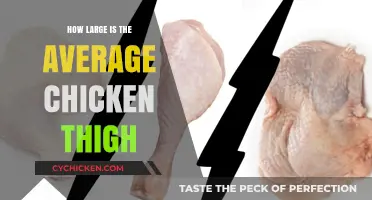 Average Chicken Thigh Size: Understanding Weight and Dimensions for Cooking