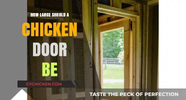 Ideal Chicken Coop Door Size: Ensuring Safety and Easy Access