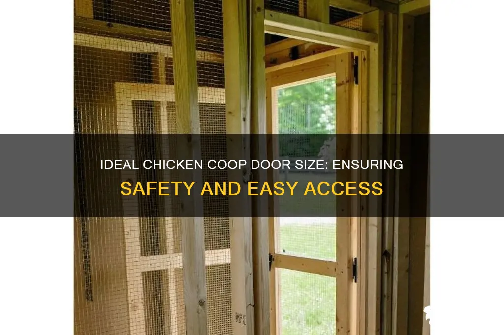 how large should a chicken door be