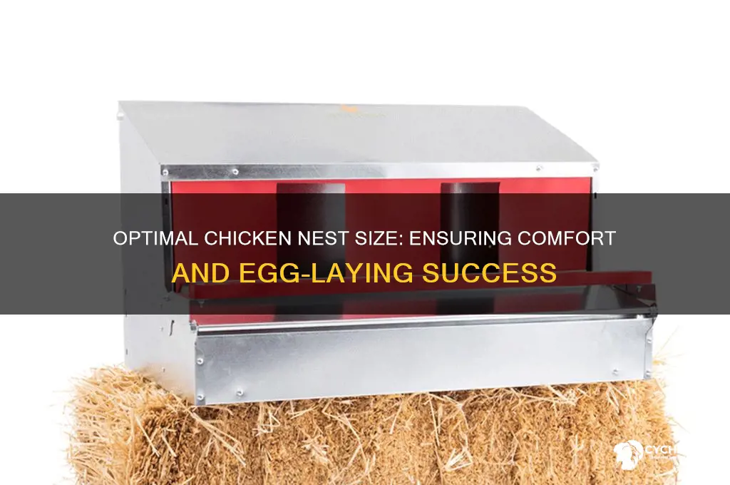 how large should a chicken nest be