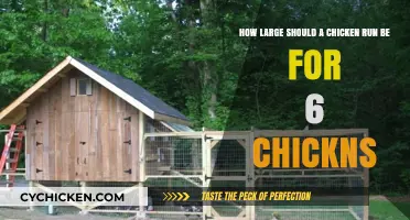 Spacious Runs: Happy Chickens, Healthy Minds