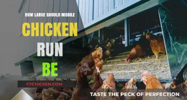 Optimal Mobile Chicken Run Size: A Guide for Happy, Healthy Hens