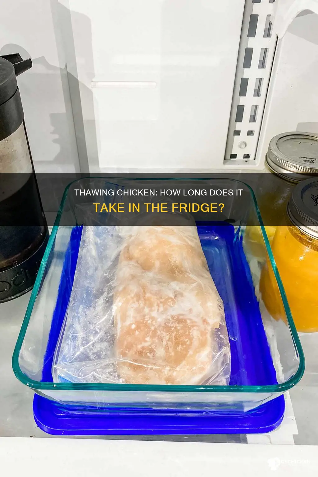 how late ng for chicken to thaw in fridge